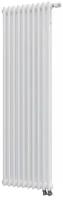 Радиатор стальной вертикальный Zehnder Charleston Completto 2180/12 V001 RAL 9016 2-х трубчатый, подключение нижнее 1/2