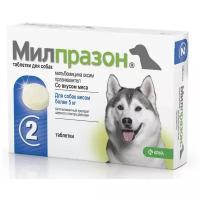 KRKA Милпразон антигельминтик для собак крупных пород 12,5мг/125мг (2 таб.)