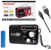 Радиоприемник Raiseng R-551 (Black)