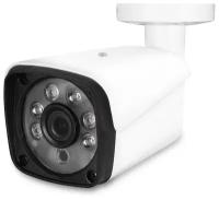 Камера видеонаблюдения PS-Link AHD102 белый