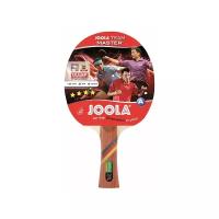 Ракетка для настольного тенниса Joola TEAM MASTER 3* Vizion