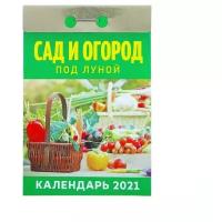 Отрывной календарь "Сад и огород под луной" 2022 год, 7,7 х 11,4 см