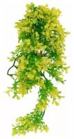 Декоративное растение для террариумов LUCKY REPTILE "Turtle Plant Horn Bacopa", 40см (Германия)