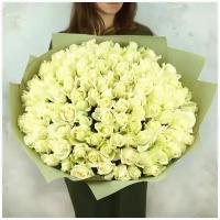 Букет живых цветов из 101 белая роза в упаковке 60см