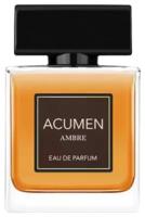 Dilis Parfum Acumen Ambre парфюмерная вода 100 мл для мужчин