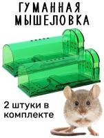 Мышеловка гуманная, живоловка для дома и дачи, (ловушка для мышей и кротов) комплект из 2 штук, зелёная
