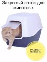Лоток домик для кошек "Чистый Котик" 50*40*39 синий