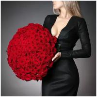 101 роза Премиум - Красный - 50см
