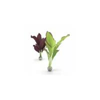 Набор декор. растений Silk plant set medium green&purple