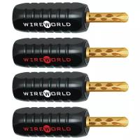 Wireworld Gold Set Screw Banana 10ga ABS Shell (BANGCRP04)