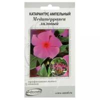 Катарантус ампельный Медитерранен, лиловый, 7 семян