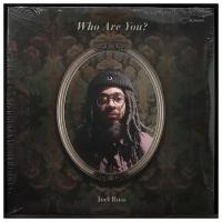 Виниловая пластинка Blue Note Joel Ross – Who Are You? (2LP)