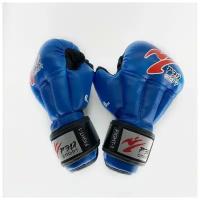 Перчатки для рукопашного боя Рэй Спорт синие 6Oz