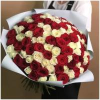 Букет из красных и белых роз 101 шт. (40 см)