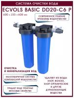 Система очистки воды Ecvols Basic DD20 - C6 P, до 4 потребителей, Fe до 1, жесткость до 7, H2S: удаляет