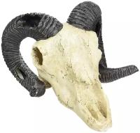 Декорация для террариума, череп LUCKY REPTILE "Skull Ram", 19.5х17х12см (Германия)