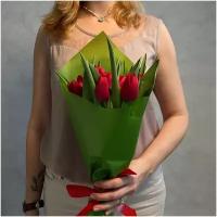 Букет из 11 красных тюльпанов сорта стронг ЛАВ 40см (россия) с атласной лентой.