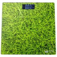 Весы Home Element HE-SC906 Grass
