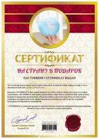Сертификат подарочный "На страну в подарок" А4. Сертификат шуточный, мелованный картон. Комплект 10 штук.
