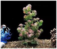 Растения для аквариумов и террариумов 35 см