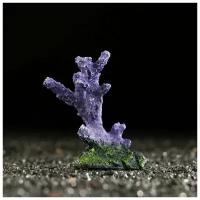 Декоративный коралл Синулярия мини, 6 х 3,5 х 8,5 см, фиолетовый, 1 шт