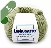 Пряжа Lana Gatto Super Soft 09067 Фисташка 2 мотка