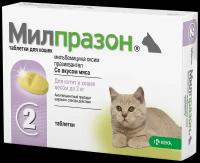 KRKA Милпразон таблетки для котят и кошек до 2 кг, 2 таб.