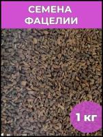 Семена Фацелия пижмолистная Рязанская 1 кг / сидерат / медонос / удобрение / био-гумус