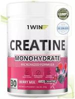 1WIN Креатин моногидрат, Creatine Monohydrate. Вкус Тропик. 30 порций.