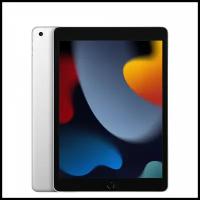 iPad 9 64 Silver LTE