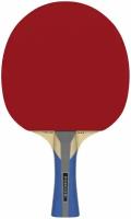 Ракетка для настольного тенниса для спортивных школ TTR 100 3* ALLROUND