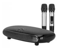 Беспроводная караоке система с двумя микрофонами- MadSound Karaoke 8 BT (Black)