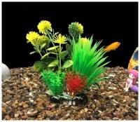 Растения для аквариумов и террариумов 15 см