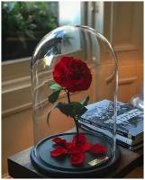 Вечная роза в колбе "VIP"с подарочной коробкой/32 см