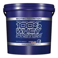 Протеин Scitec Nutrition 100% Whey Protein (5000 г)